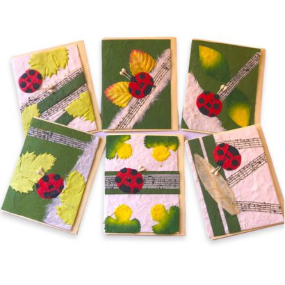 MINICARD NATURA MARIQUITA MODELOS VARIADOS