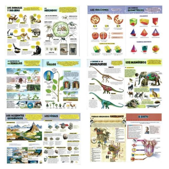 COLECCION GUIA COMPLETA ILUSTRADA 8 TIT - Imagen 2