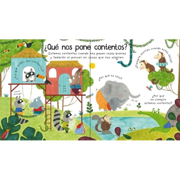 QUE SON LAS EMOCIONES MIS PRIMERAS PREGUNTAS CON SOLAPAS - Imagen 2