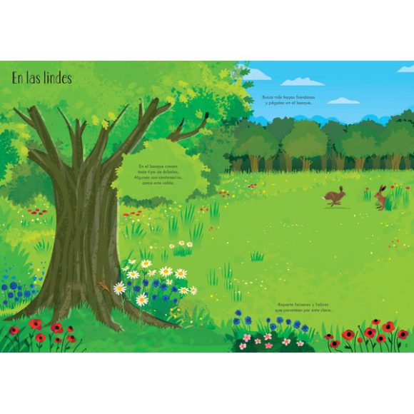 EN UN BOSQUE MI PEQUEÑO LIBRO DE PEGATINAS - Imagen 2