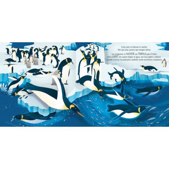 AVES DESPLEGABLES - Imagen 3