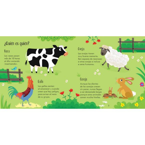 ANIMALES LIBRO Y JUEGOS DE EMPAREJAR ESTUCHE - Imagen 2