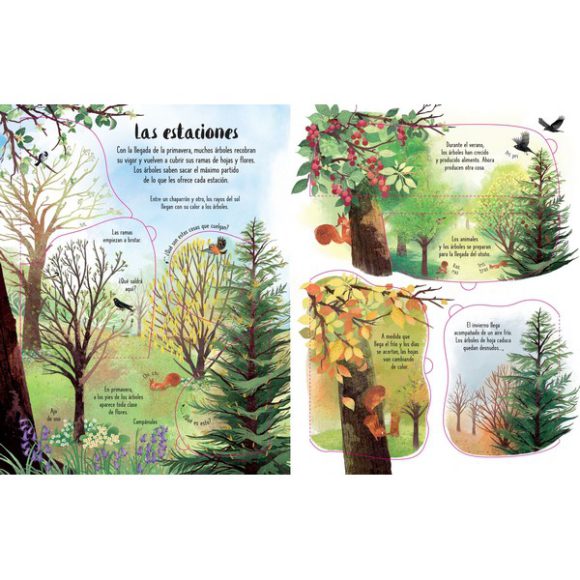 ARBOLES CONOCE POR DENTRO CON SOLAPAS - Imagen 2