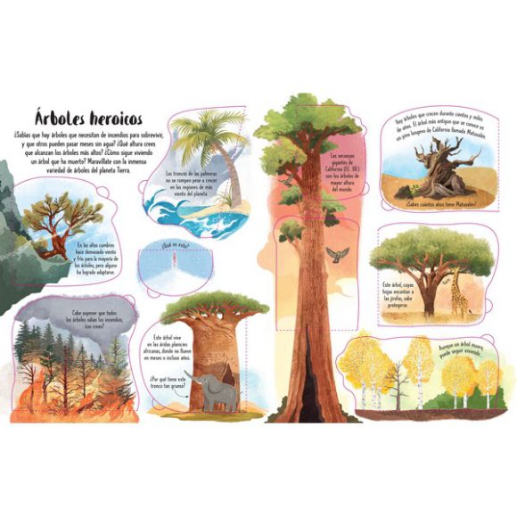 ARBOLES CONOCE POR DENTRO CON SOLAPAS - Imagen 4