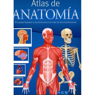 ATLAS DE ANATOMIA