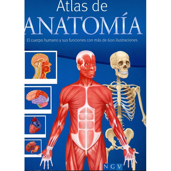 ATLAS DE ANATOMIA