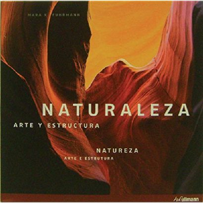 NATURALEZA ARTE Y ESTRUCTURA