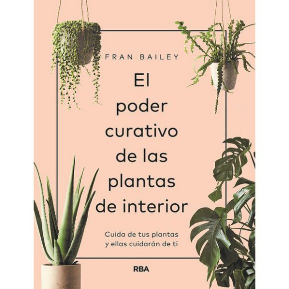 PODER CURATIVO PLANTAS DE INTERIOR