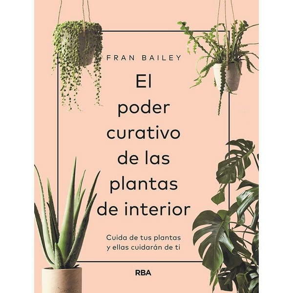 PODER CURATIVO PLANTAS DE INTERIOR