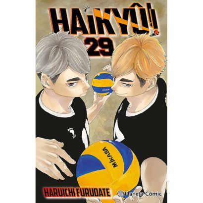 HAIKYU 29