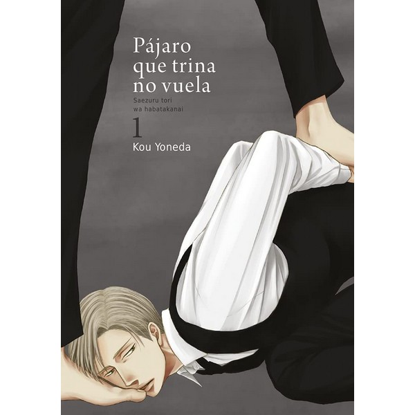 PAJARO QUE TRINA NO VUELA 01 (REEDICION)
