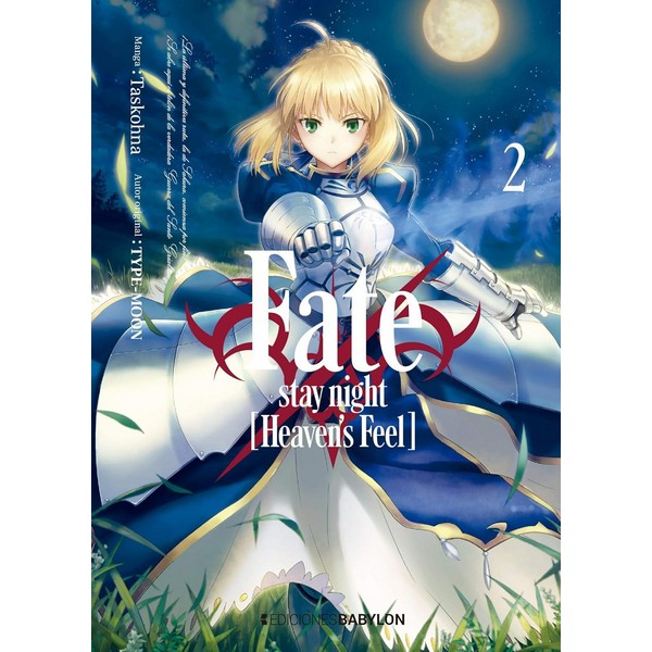 FATE STAY NIGHT 02