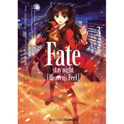 FATE STAY NIGHT 03