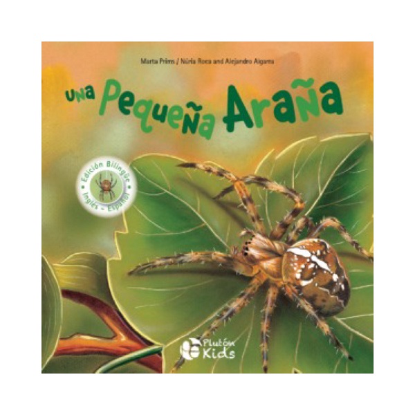 UNA PEQUEÑA ARAÑA