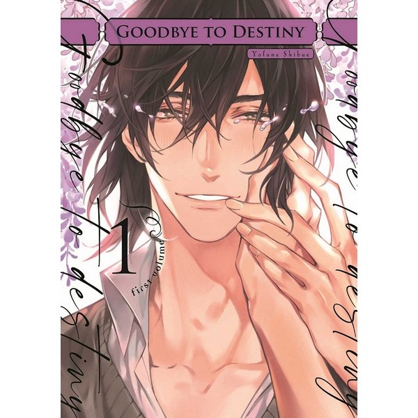 GOODBYE TO DESTINITY 01