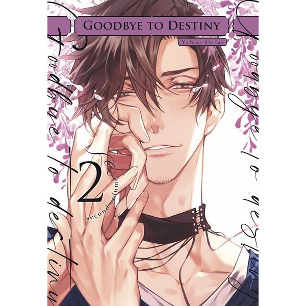 GOODBYE TO DESTINITY 02