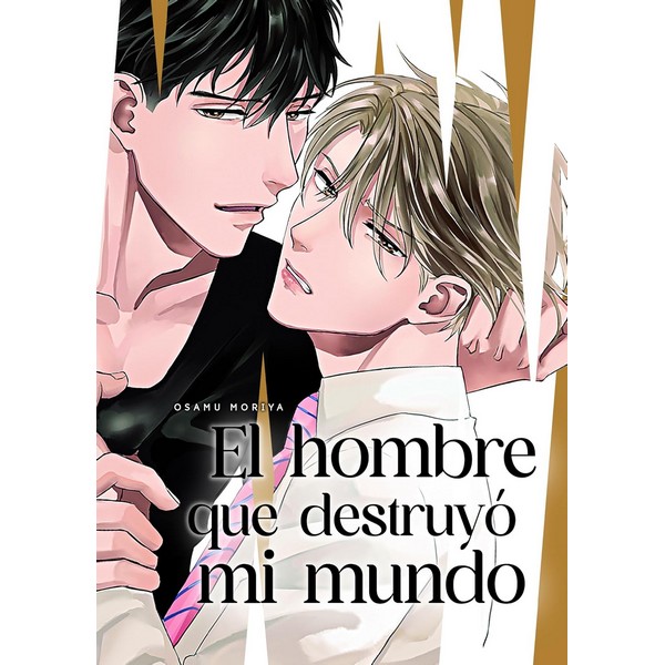 EL HOMBRE QUE DESTRUYO MI MUNDO