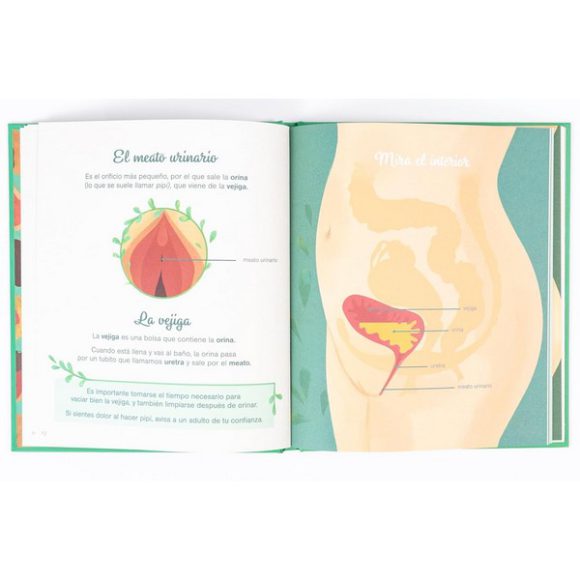 PEQUEÑO ATLAS DE LA INTIMIDAD. LA VULVA, LA VAGINA, LA REGLA Y MÁS | MATHILDE BAUDY , TIPHAIN DIEUMEGARD - Imagen 3