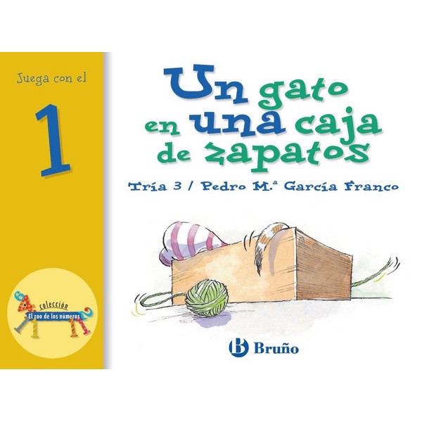 UN GATO EN UNA CAJA DE ZAPATOS