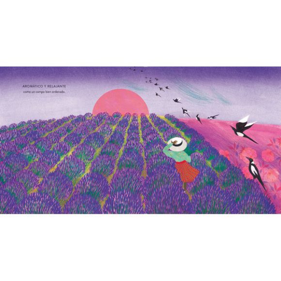 VIOLETA COLECCION ARCOIRIS - Imagen 4