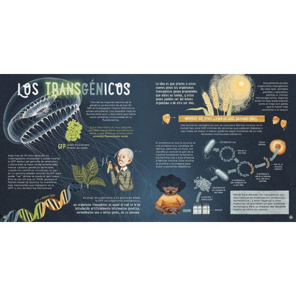 GENETICA EXPLICADA POR DRA. BARBARA MCCLINTOCK - Imagen 4