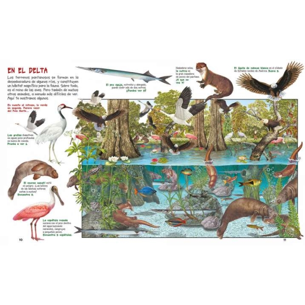 BUSCA LOS ANIMALES DE LA TIERRA - Imagen 2