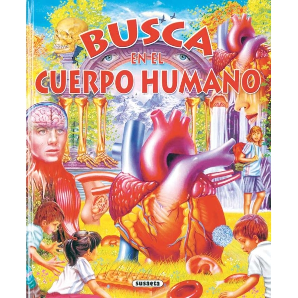 BUSCA EN EL CUERPO HUMANO