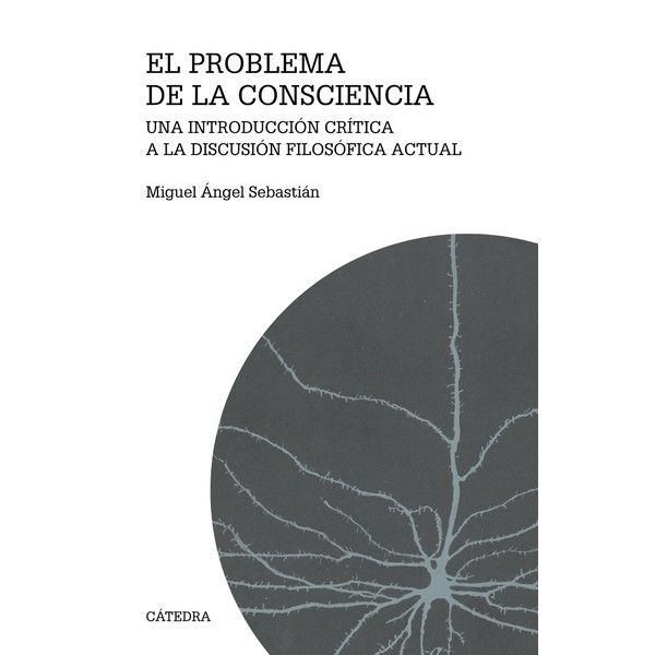 PROBLEMA DE LA CONSCIENCIA