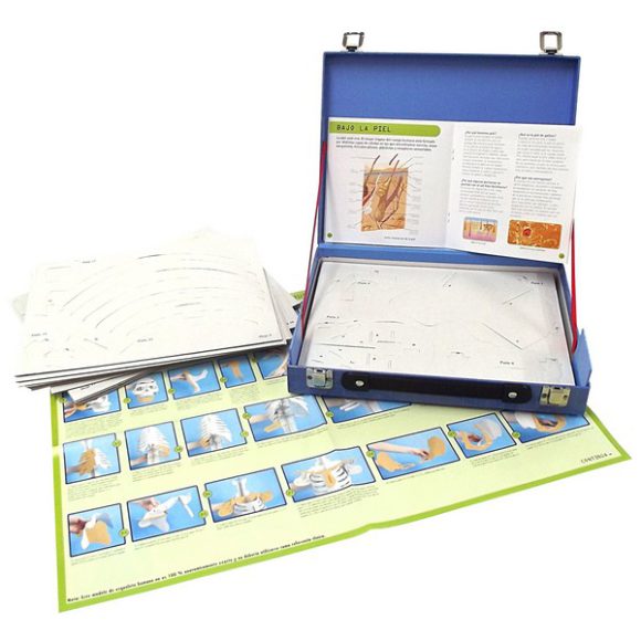 CUERPO HUMANO COLECCION MALETINES - Imagen 2