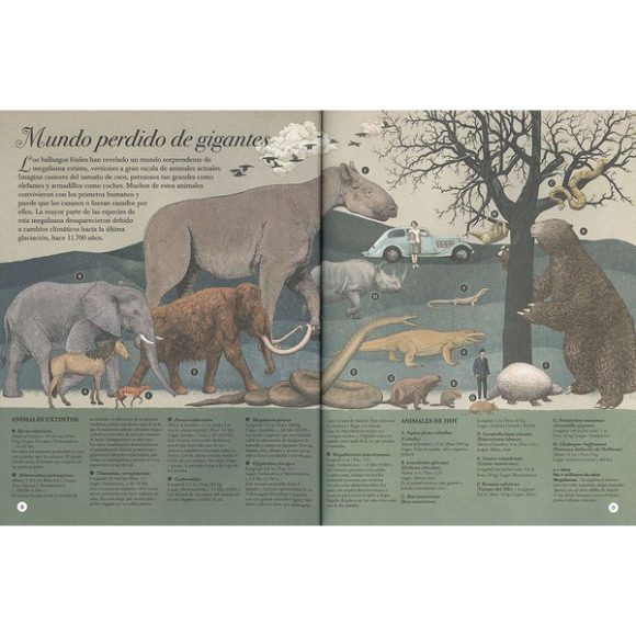 RECORDS DEL UNIVERSO - Imagen 2