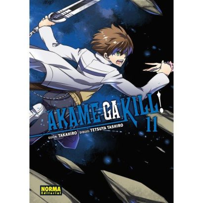 AKAME GA KILL 11