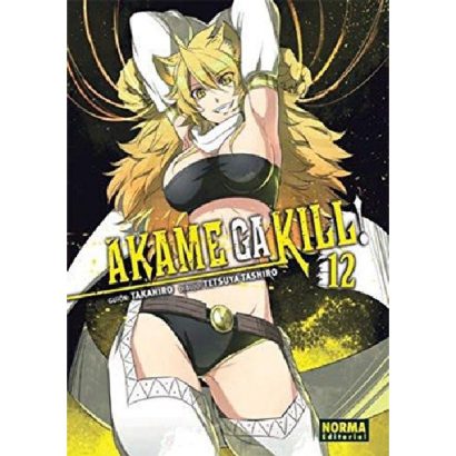 AKAME GA KILL 12