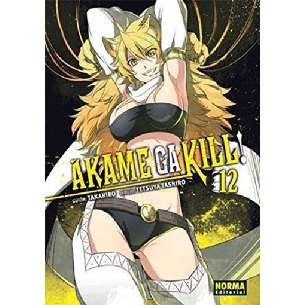 AKAME GA KILL 12