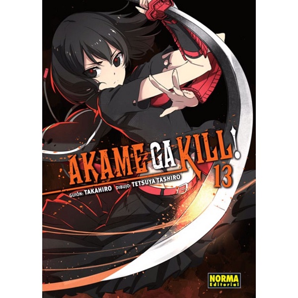 AKAME GA KILL 13