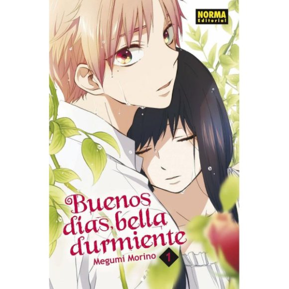 BUENOS DIAS BELLA DURMIENTE 01