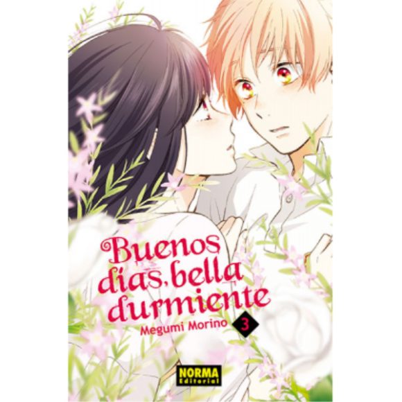 BUENOS DIAS BELLA DURMIENTE 03