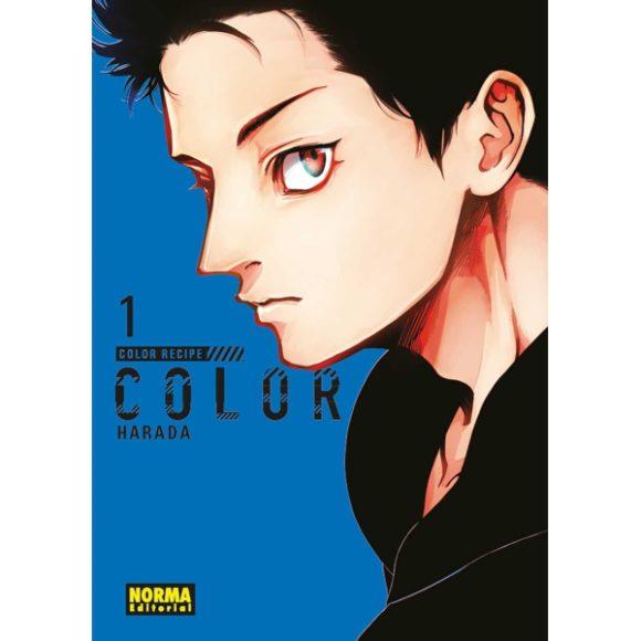 COLOR RECIPE 01