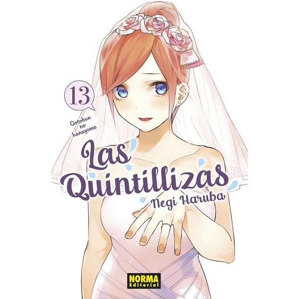 QUINTILLIZAS 13