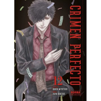 CRIMEN PERFECTO 12