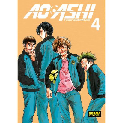 AO ASHI 04