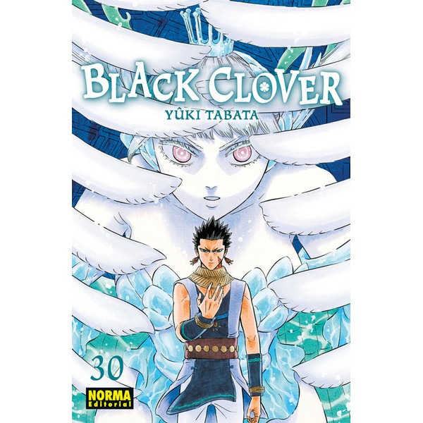 BLACK CLOVER 30