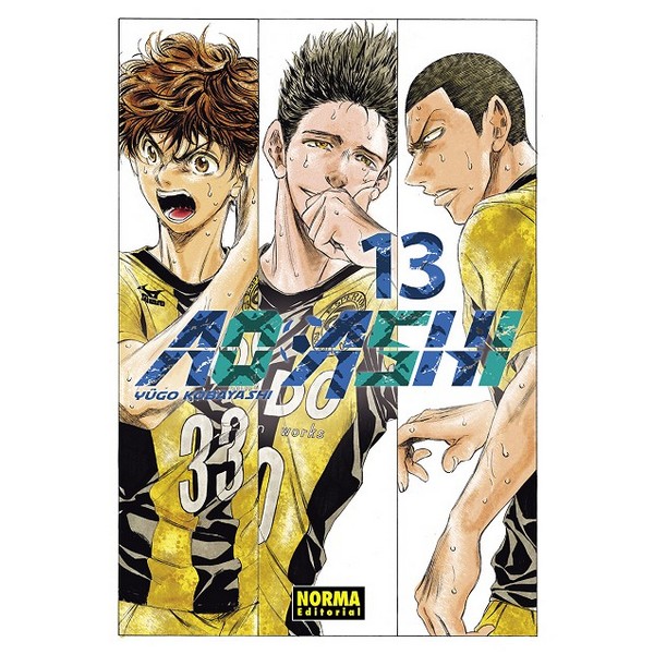 AO ASHI 13