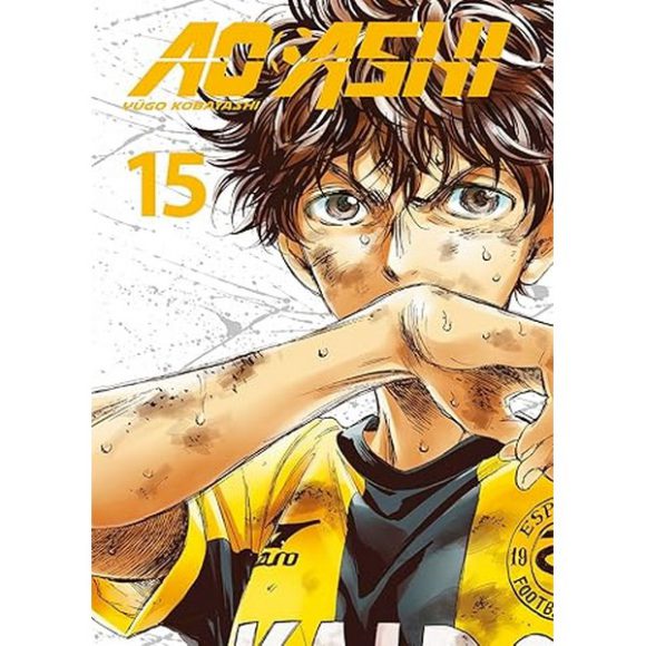 AO ASHI 15