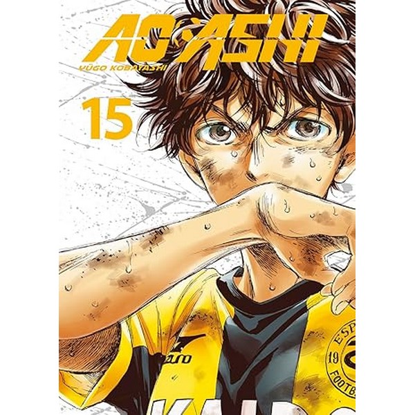 AO ASHI 15