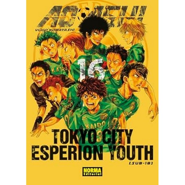 AO ASHI 16