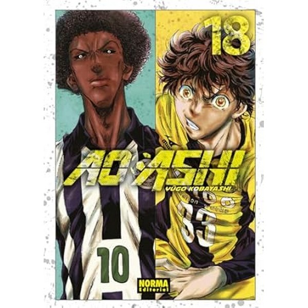 AO ASHI 18