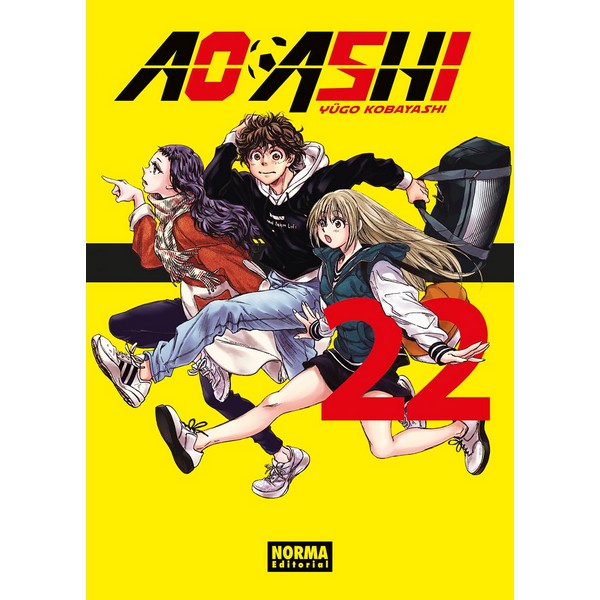 AO ASHI 22