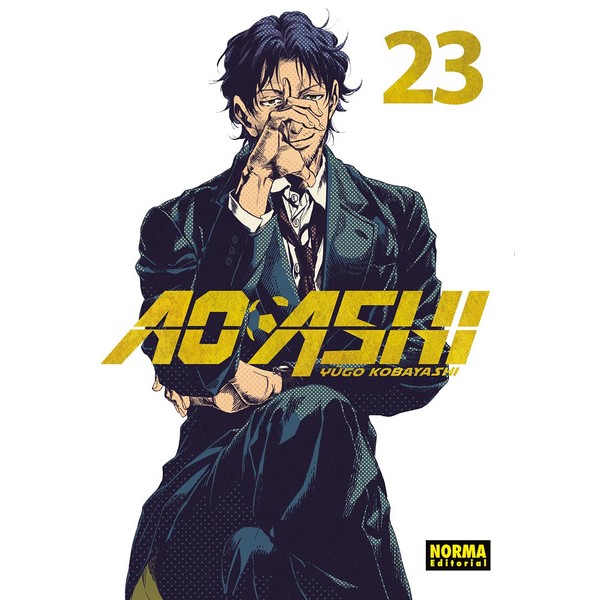 AO ASHI 23