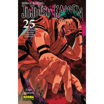 JUJUTSU KAISEN 25