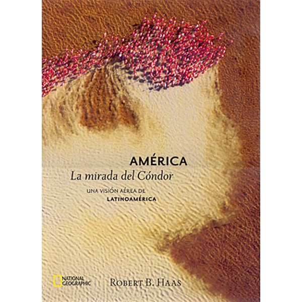 AMERICA LA MIRADA DEL CONDOR TD